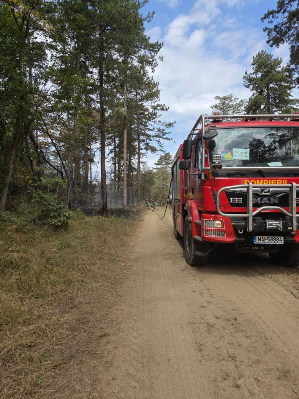 Serbia mulțumește României pentru intervenția pompierilor în incendiile de vegetație: „Serbia nu va uita acest lucru” 1095477