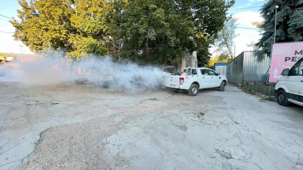 O insectă periculoasă pentru plante, care poate afecta chiar şi viţa-de-vie, a fost găsită pentru prima dată în Republica Moldova 1095795