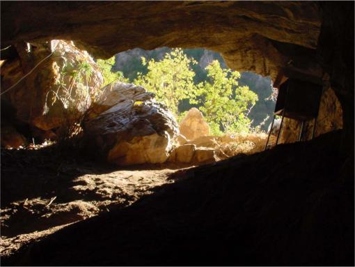 Un urs a coborât într-un puț vertical de 60 de metri într-o peșteră din Grecia. Se pare că a și urcat înapoi. Ce au găsit cercetătorii 1096009