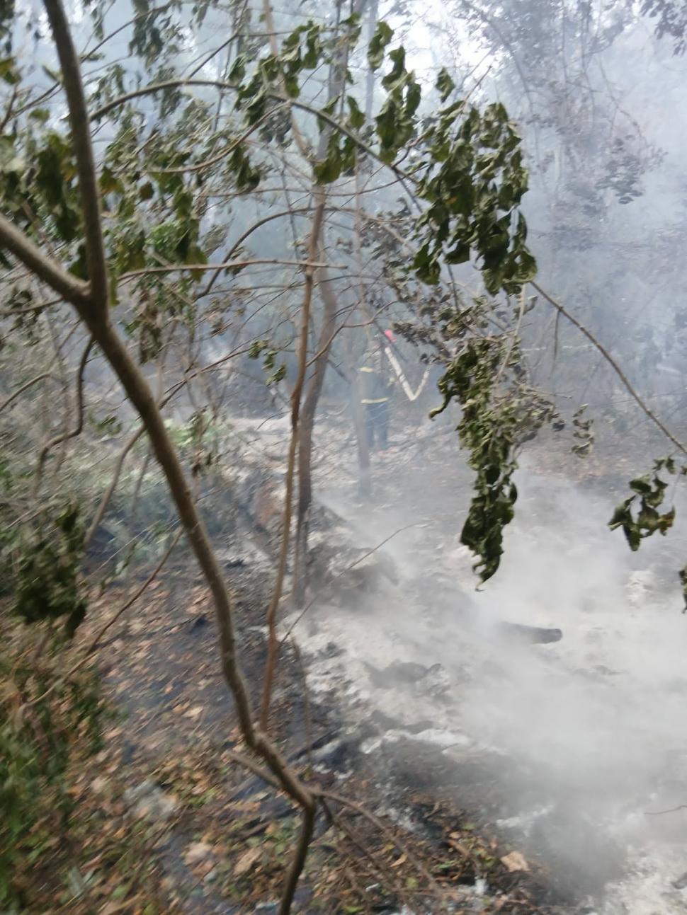 Incendiu în Tulcea, la Plauru. A ars o pădure de salcie. Romsilva: "Localnicii spun că ar fi fost provocat de o dronă care a explodat" 1096438