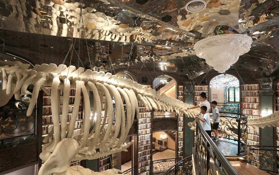 Librăria construită într-o dolină naturală: Tocmai s-a deschis, iar turiștii spun că se simt la „Hogwarts”. Cum arată și unde este 1096683