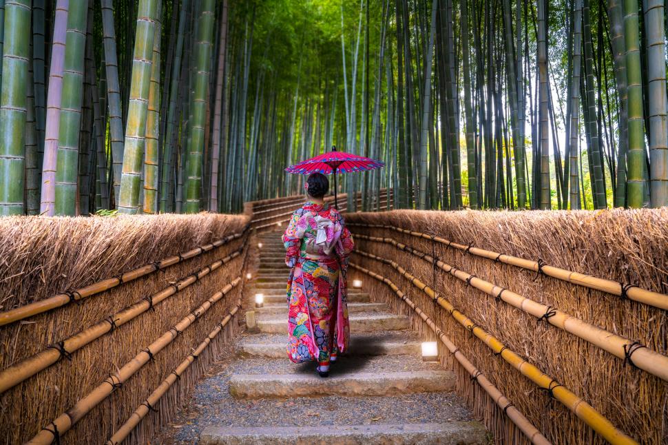 Turiștii şi-au scrijelit numele pe 350 de bambuşi în pădurea din Kyoto. Dezastrul a dus la o decizie radicală a primăriei 1096709