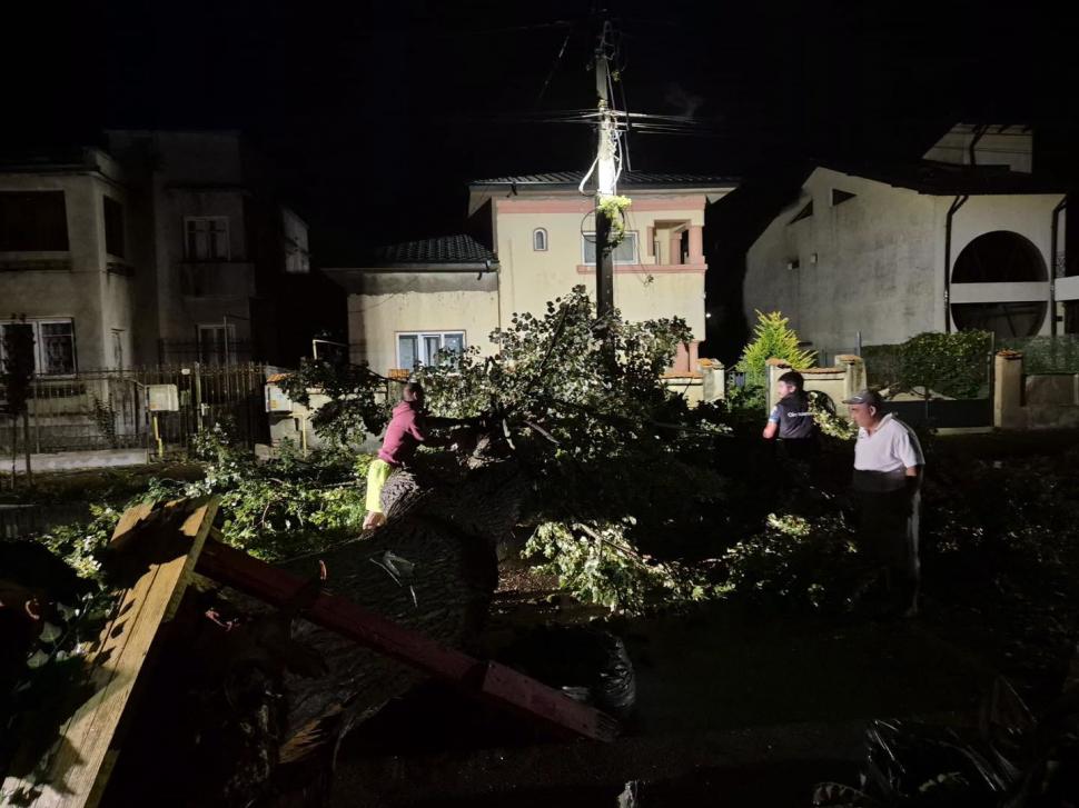 Furtunile au făcut prăpăd în sudul României. Trombă marină la Constanța. Copaci smulși și străzi blocate în Oltenița 1096765