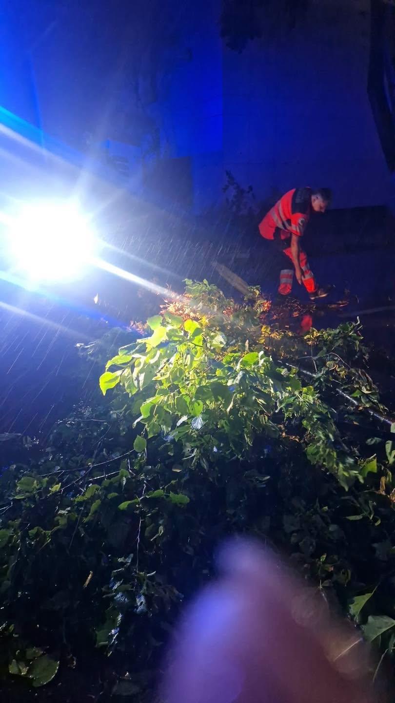 Furtunile au făcut prăpăd în sudul României. Trombă marină la Constanța. Copaci smulși și străzi blocate în Oltenița 1096768