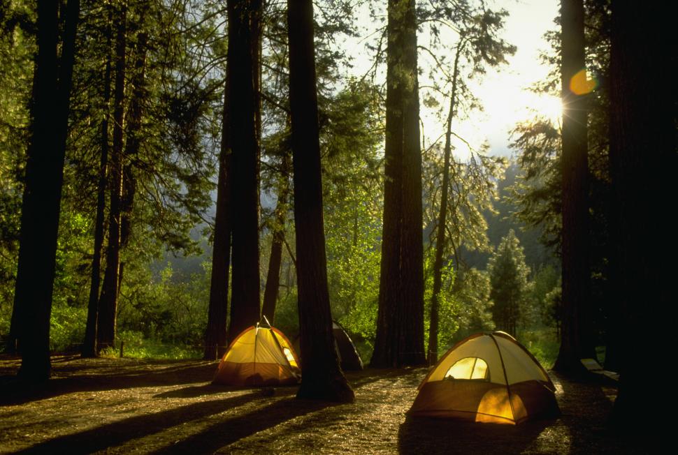 Trump analizează în secret să vândă o parte din parcul Yosemite către un dezvoltator imobiliar 1097297