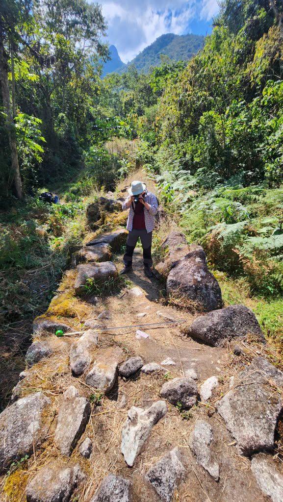 Ascunse în junglă timp de secole, drumuri incaşe au fost descoperite lângă Machu Picchu. Primele imagini surprinse de arheologi  1096489