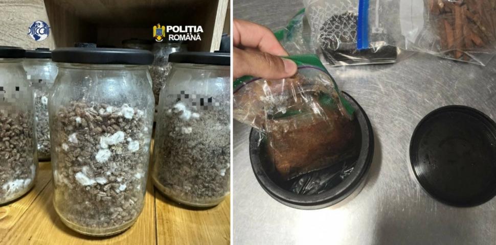 Descinderi DIICOT la o pensiune unde se făceau ritualuri cu șamani din Peru și Ayahuasca 1097715