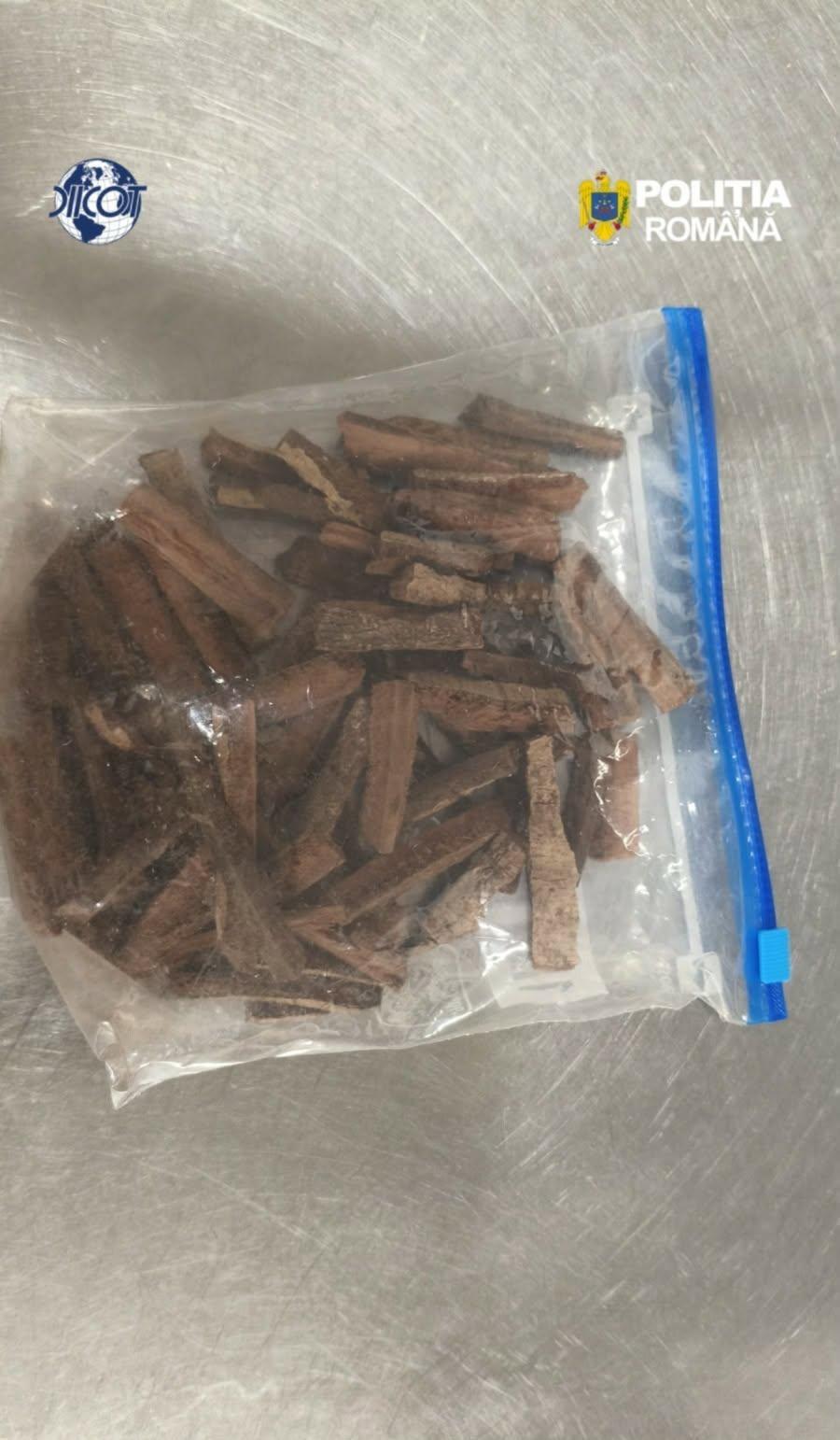 Descinderi DIICOT la o pensiune unde se făceau ritualuri cu șamani din Peru și Ayahuasca 1097717