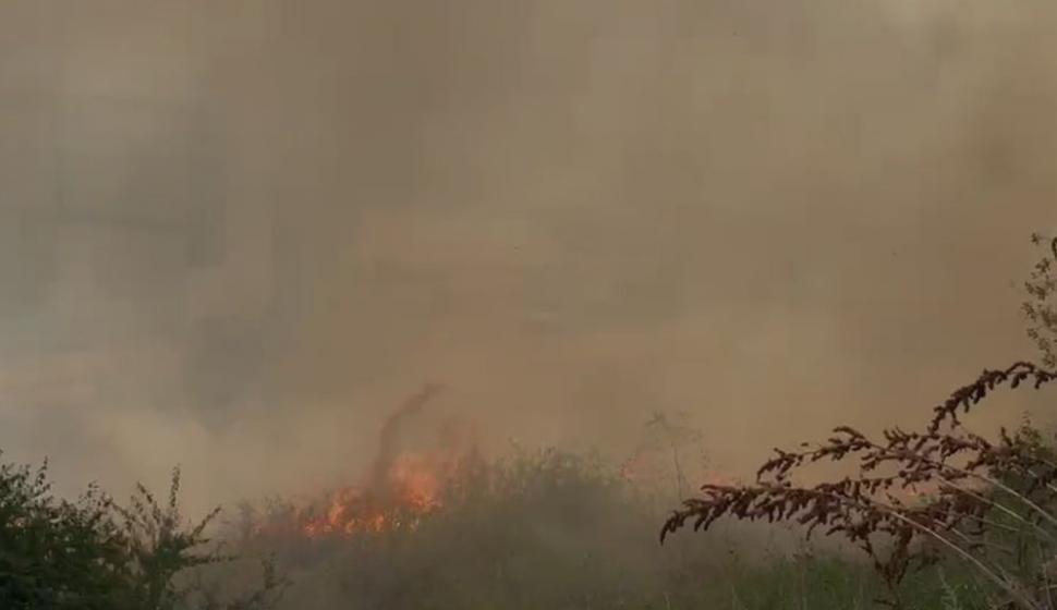 Incendiu violent de vegetație la intrarea în Brăila dinspre Galați. Traficul pe DN22 B a fost deviat 1099470