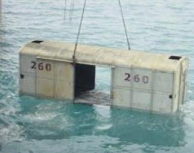 În 2010, Thailanda a scufundat 25 de tancuri militare pentru a crea recife artificiale. După ani, 53 de specii de pești trăiau acolo 1099737
