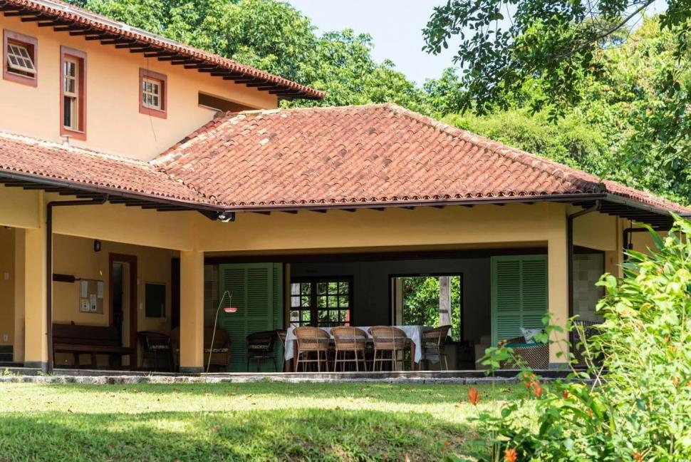 În 2001, doi soți au început să cumpere pășuni abandonate în Brazilia. Au plantat 840.000 de copaci, apoi Pădurea Atlantică s-a refăcut 1100495