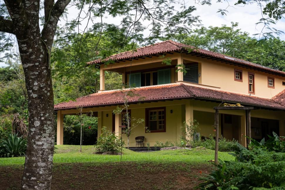 În 2001, doi soți au început să cumpere pășuni abandonate în Brazilia. Au plantat 840.000 de copaci, apoi Pădurea Atlantică s-a refăcut 1100504