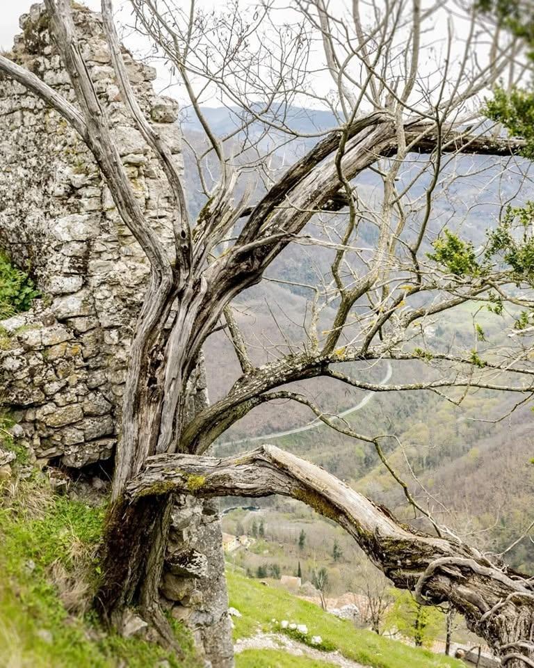 Satul „vertical” din Toscana în care mai trăiesc doar 30 de oameni.  Cum a fost salvat Lucchio în 1437 de două femei 1100904