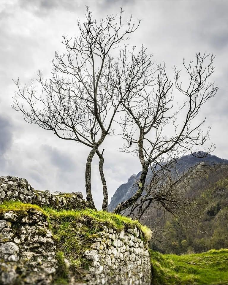 Satul „vertical” din Toscana în care mai trăiesc doar 30 de oameni.  Cum a fost salvat Lucchio în 1437 de două femei 1100905
