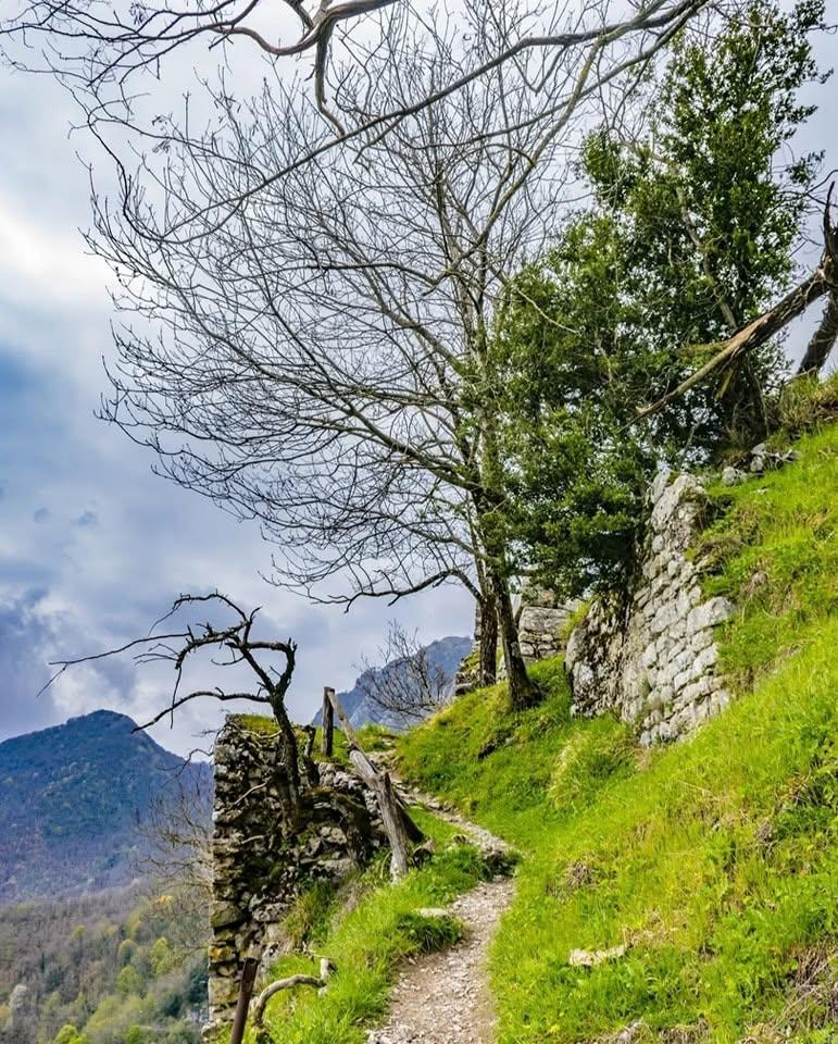 Satul „vertical” din Toscana în care mai trăiesc doar 30 de oameni.  Cum a fost salvat Lucchio în 1437 de două femei 1100907