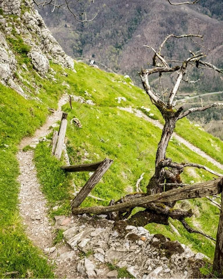 Satul „vertical” din Toscana în care mai trăiesc doar 30 de oameni.  Cum a fost salvat Lucchio în 1437 de două femei 1100909