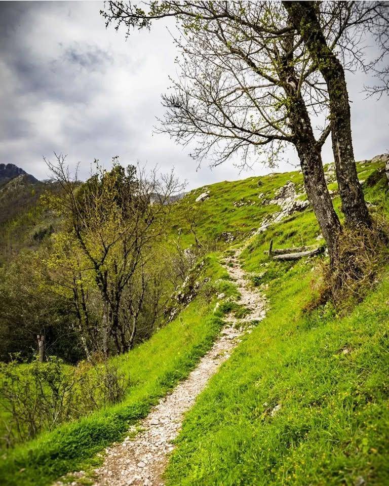 Satul „vertical” din Toscana în care mai trăiesc doar 30 de oameni.  Cum a fost salvat Lucchio în 1437 de două femei 1100910