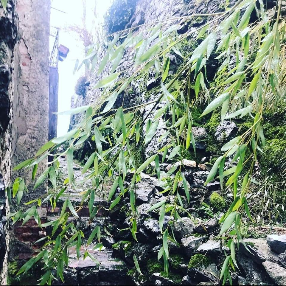 Satul „vertical” din Toscana în care mai trăiesc doar 30 de oameni.  Cum a fost salvat Lucchio în 1437 de două femei 1100919