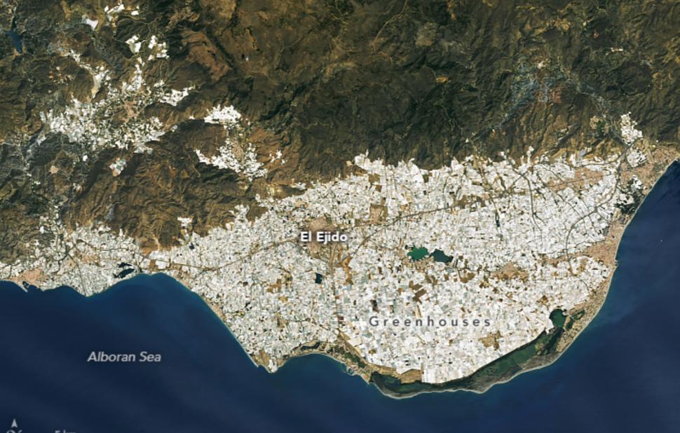 În anii ’50, Campo de Dalias era o câmpie aridă. Acum, 33.000 de hectare de sere produc peste 4 milioane de tone de legume și fructe 1101902