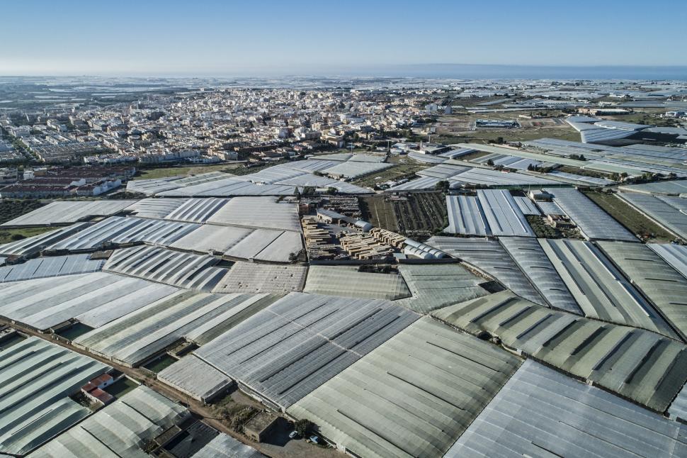 În anii ’50, Campo de Dalias era o câmpie aridă. Acum, 33.000 de hectare de sere produc peste 4 milioane de tone de legume și fructe 1101911
