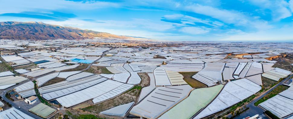 În anii ’50, Campo de Dalias era o câmpie aridă. Acum, 33.000 de hectare de sere produc peste 4 milioane de tone de legume și fructe 1101912