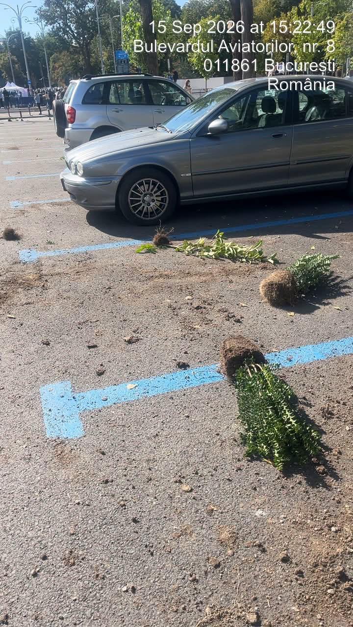 Infiltrații la protestul oierilor au smuls borduri și pavaj, au distrus spații verzi și au furat aspersoare. Imagini cu dezastrul lăsat 1102443