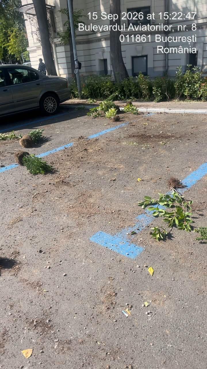 Infiltrații la protestul oierilor au smuls borduri și pavaj, au distrus spații verzi și au furat aspersoare. Imagini cu dezastrul lăsat 1102444
