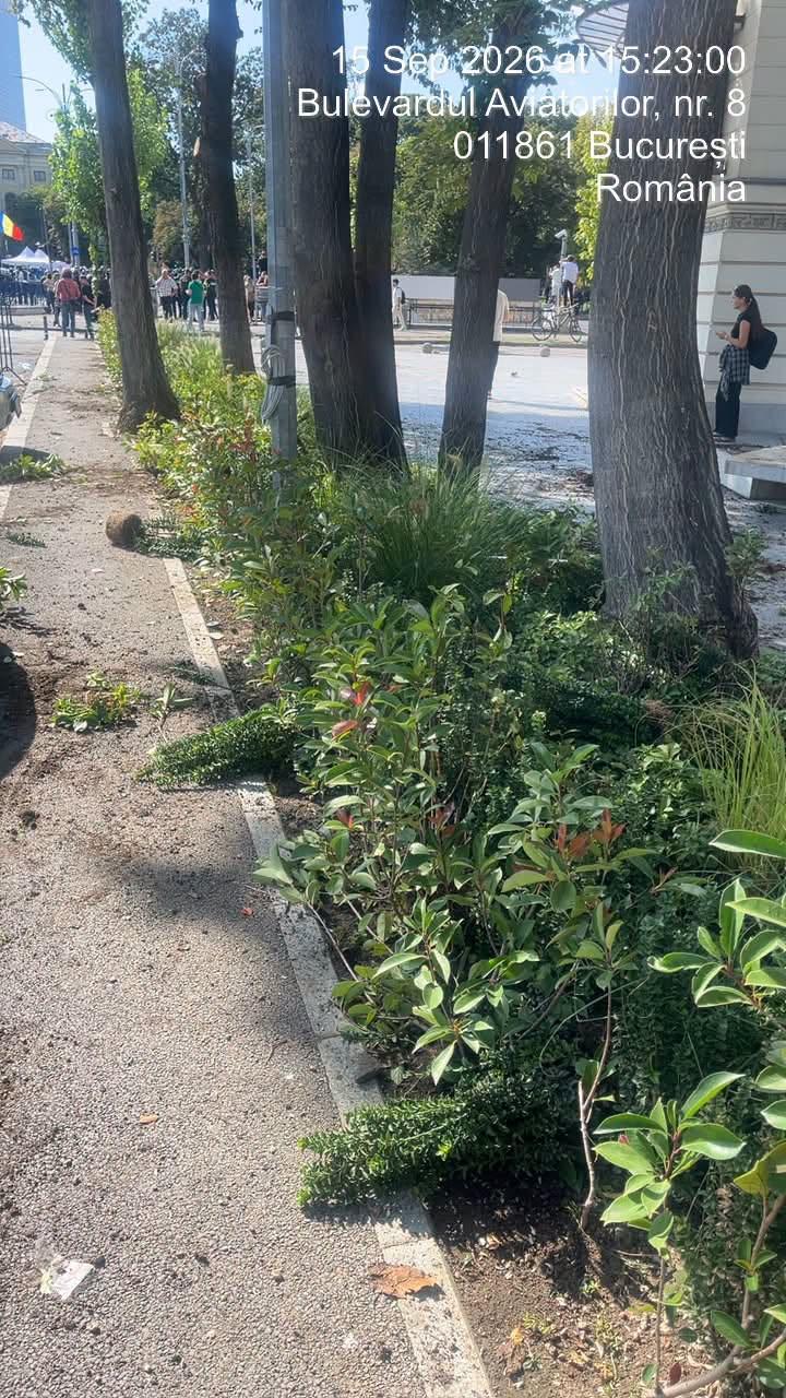 Infiltrații la protestul oierilor au smuls borduri și pavaj, au distrus spații verzi și au furat aspersoare. Imagini cu dezastrul lăsat 1102445