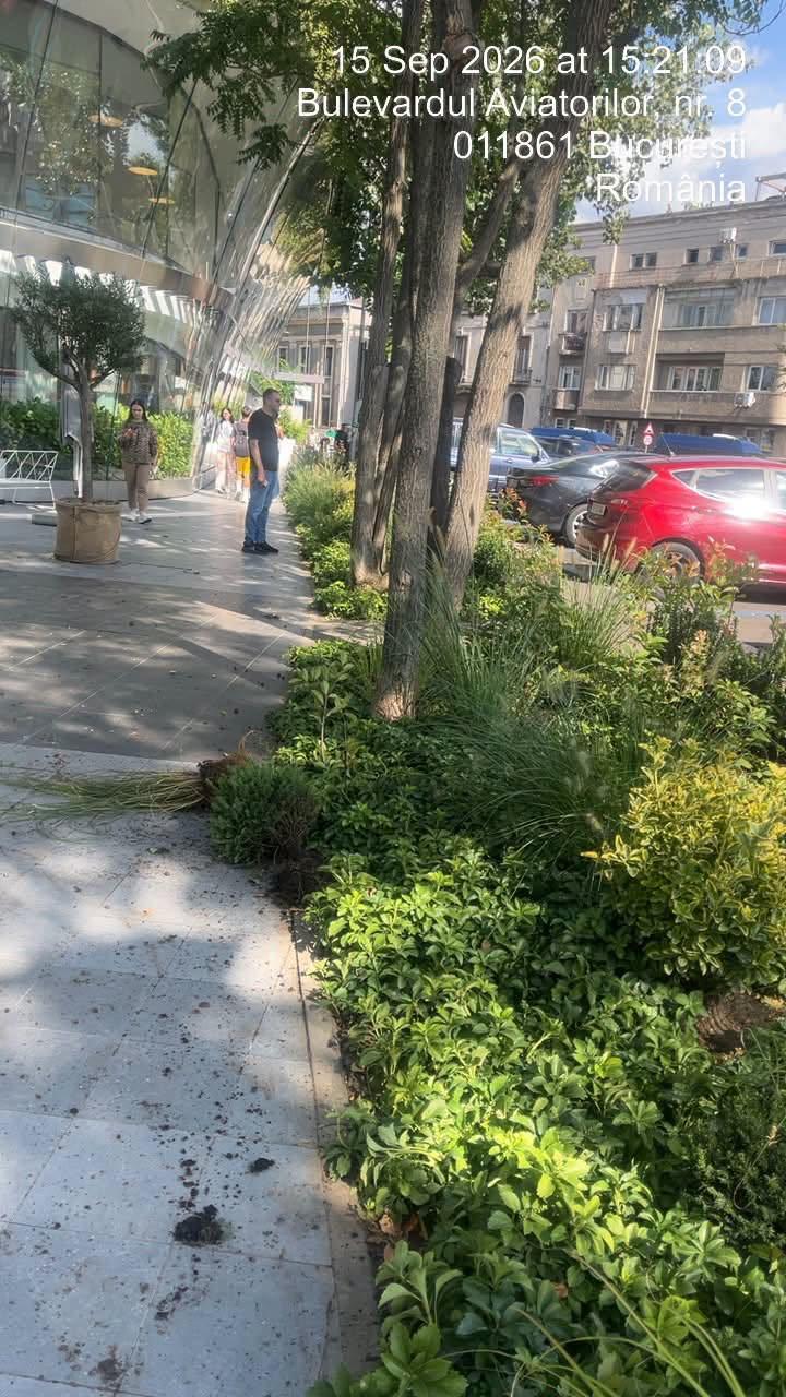 Infiltrații la protestul oierilor au smuls borduri și pavaj, au distrus spații verzi și au furat aspersoare. Imagini cu dezastrul lăsat 1102446