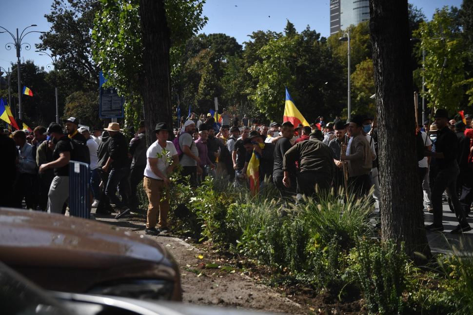 Infiltrații la protestul oierilor au smuls borduri și pavaj, au distrus spații verzi și au furat aspersoare. Imagini cu dezastrul lăsat 1102457