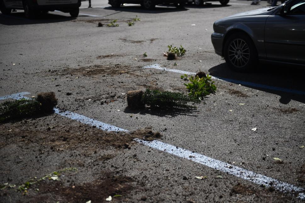 Infiltrații la protestul oierilor au smuls borduri și pavaj, au distrus spații verzi și au furat aspersoare. Imagini cu dezastrul lăsat 1102459