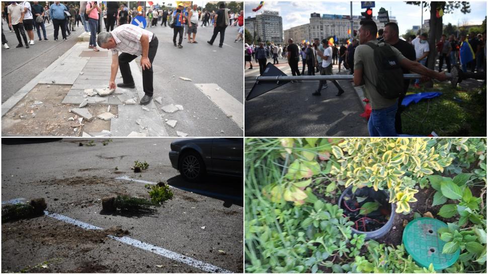 Infiltrații la protestul oierilor au smuls borduri și pavaj, au distrus spații verzi și au furat aspersoare. Imagini cu dezastrul lăsat 1102462