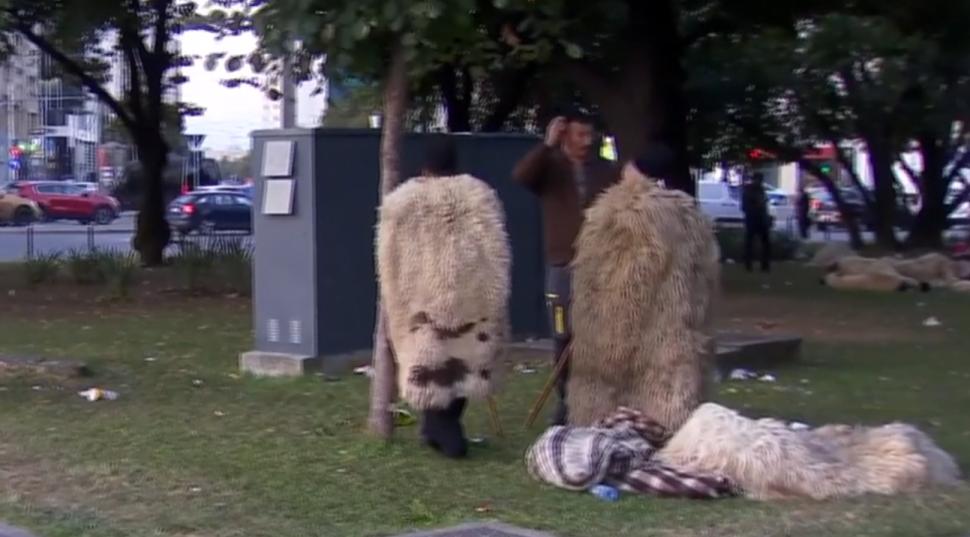 Oierii au fost chemați la Cotroceni cu lista de revendicări 1102414
