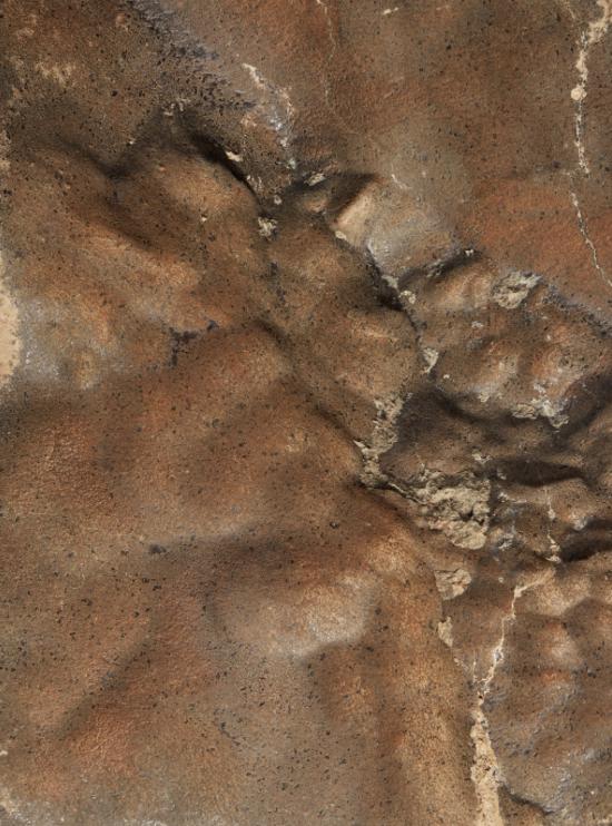 În 2023, un vânător a găsit o piatră ciudată în deșertul Sahara: Era o shergottită de pe Marte. Meteoritul s-a vândut cu milioane de $ 1102866