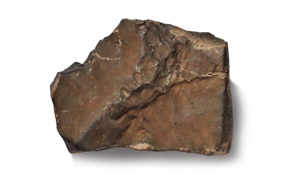 În 2023, un vânător a găsit o piatră ciudată în deșertul Sahara: Era o shergottită de pe Marte. Meteoritul s-a vândut cu milioane de $ 1102868