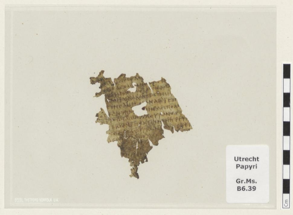 Un fragment din „Odiseea”, vechi de 1.700 de ani, a fost descoperit printre pagini cu texte egiptene antice, într-o bibliotecă olandeză 1102943