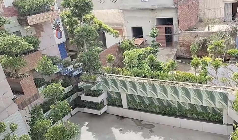 Un bărbat a plantat 5.700 de copaci în curtea mică de 150 mp, ca să-i facă pe plac mamei sale. I-a pus până și pe acoperișul casei 1103712