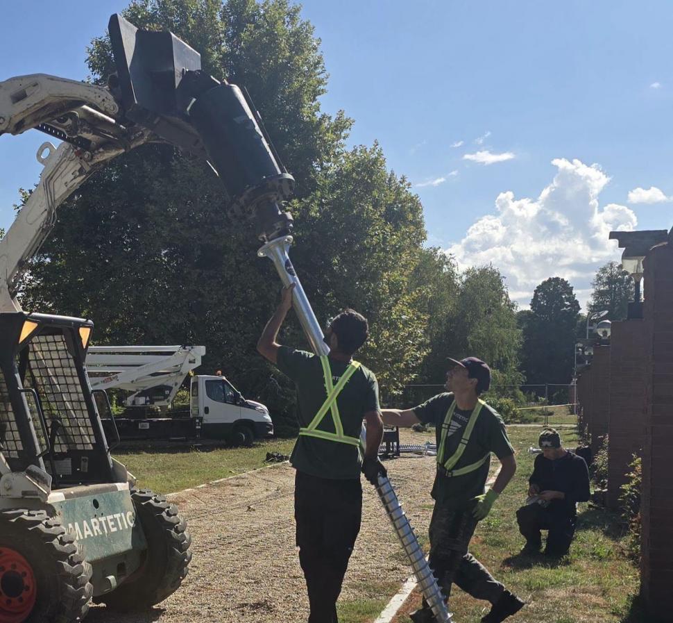 Un chiparos, vechi de aproape 100 de ani, salvat în urma unei intervenții realizate în premieră în Parcul Herăstrău. "A durat 8 ore" 1104147