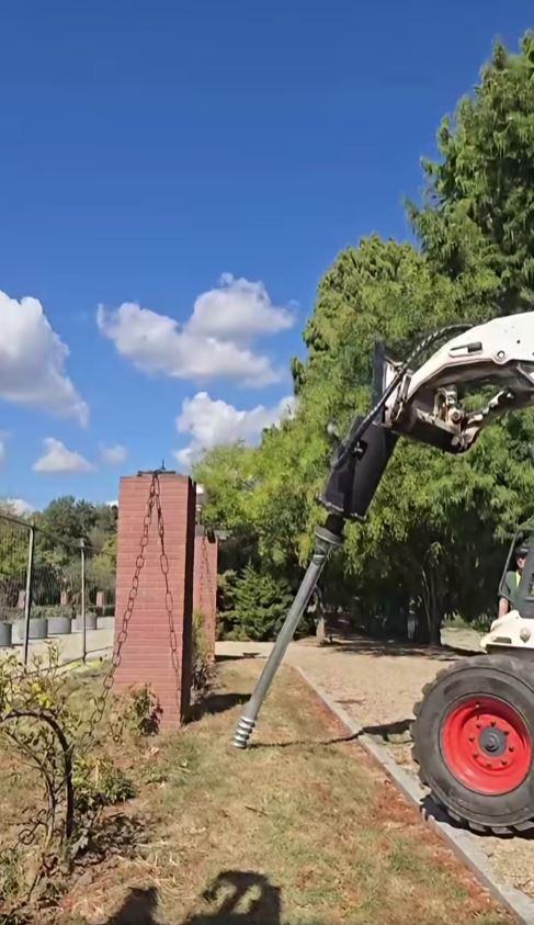 Un chiparos, vechi de aproape 100 de ani, salvat în urma unei intervenții realizate în premieră în Parcul Herăstrău. "A durat 8 ore" 1104148