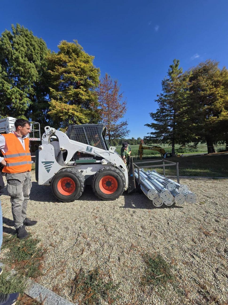 Un chiparos, vechi de aproape 100 de ani, salvat în urma unei intervenții realizate în premieră în Parcul Herăstrău. "A durat 8 ore" 1104149