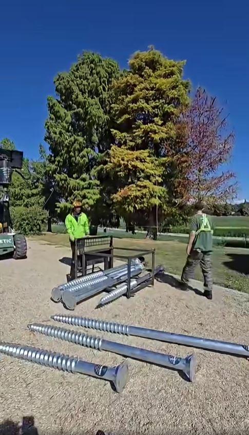Un chiparos, vechi de aproape 100 de ani, salvat în urma unei intervenții realizate în premieră în Parcul Herăstrău. "A durat 8 ore" 1104151