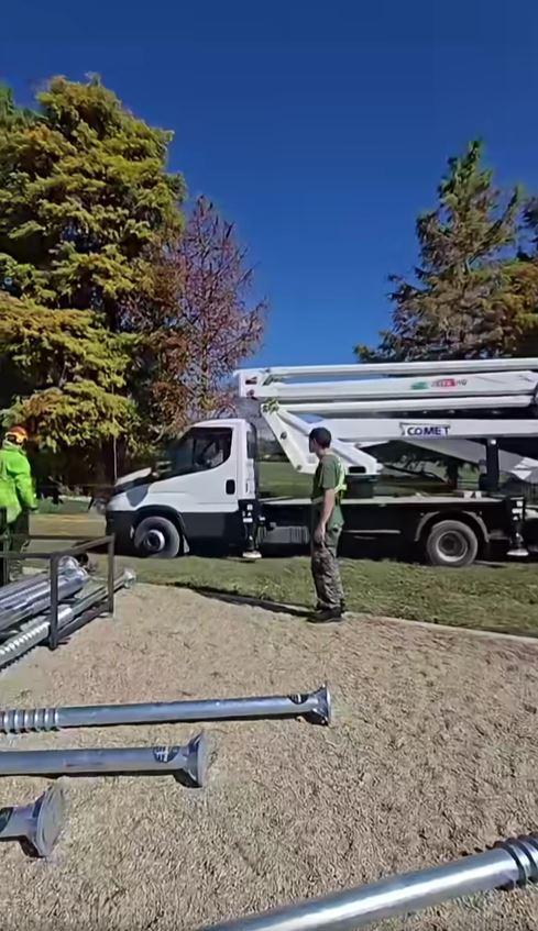 Un chiparos, vechi de aproape 100 de ani, salvat în urma unei intervenții realizate în premieră în Parcul Herăstrău. "A durat 8 ore" 1104152