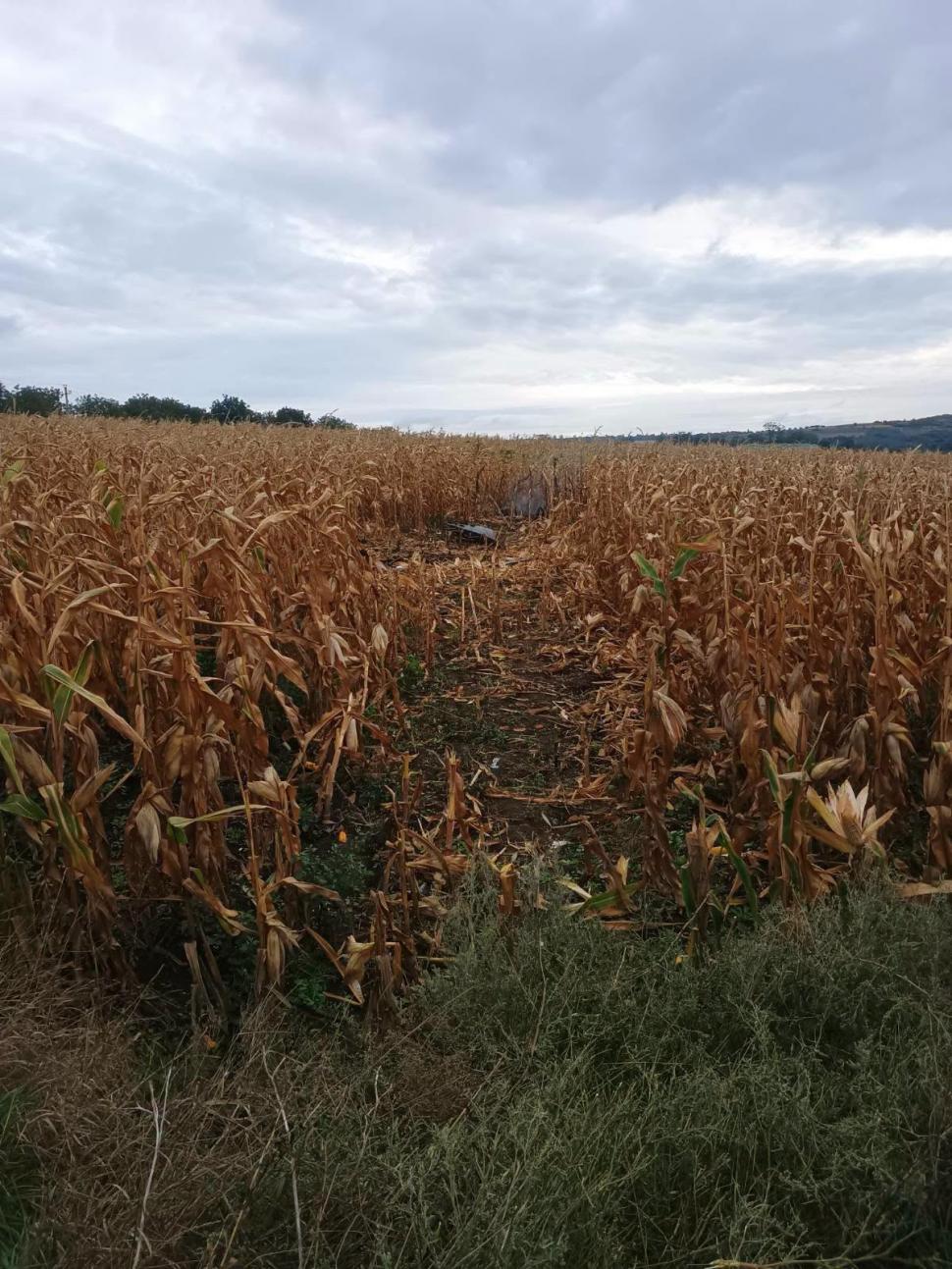 Premieră în Republica Moldova: O dronă prăbușită avea cameră încorporată. Poliția spune că ar fi modelul rusesc „Gerbera”  1104795
