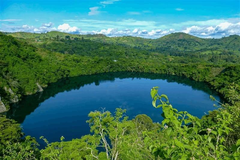 Uganda a plantat arbori nativi pe mii de hectare de teren defrișat. În 20 de ani, pădurea și-a recuperat coronamentul și diversitatea 1105061