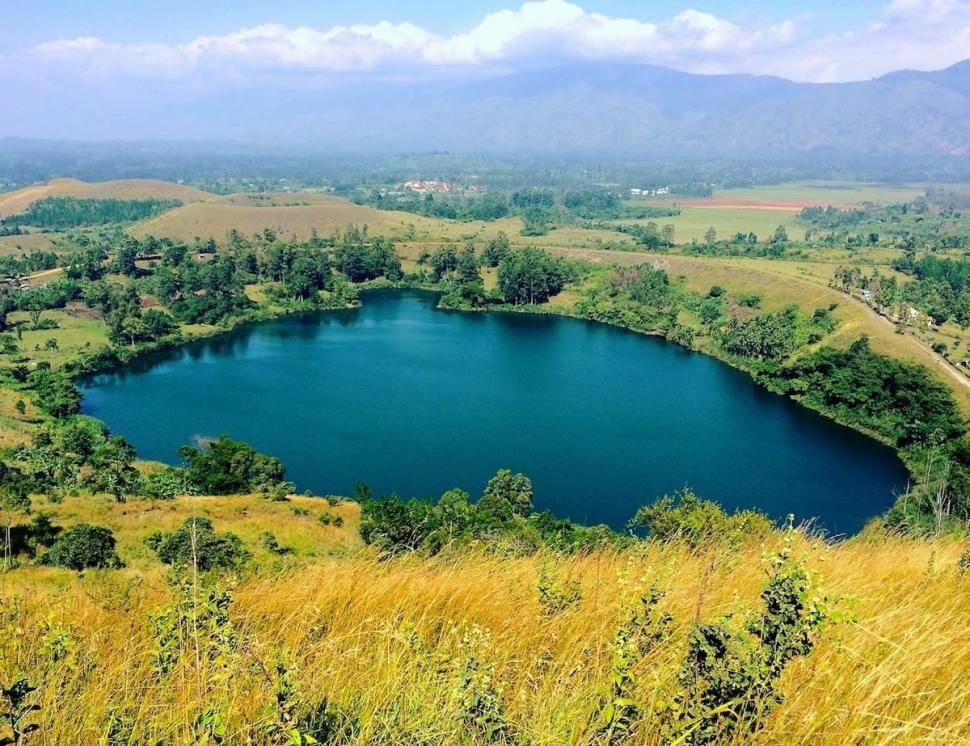 Uganda a plantat arbori nativi pe mii de hectare de teren defrișat. În 20 de ani, pădurea și-a recuperat coronamentul și diversitatea 1105062