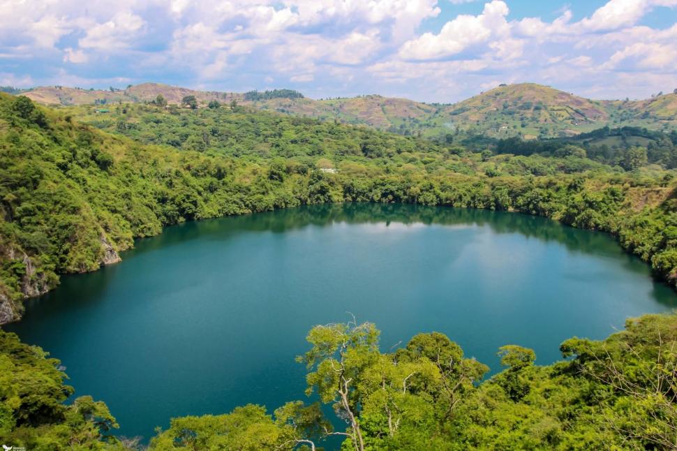 Uganda a plantat arbori nativi pe mii de hectare de teren defrișat. În 20 de ani, pădurea și-a recuperat coronamentul și diversitatea 1105063