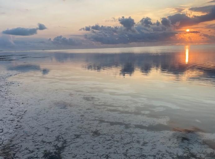 O femeie a vândut tot ca să se mute în Zanzibar, iar după 2 ani a aflat cum este, de fapt, să trăiești acolo  1105867