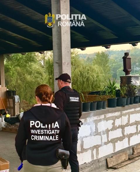 Un fals preot din Botoșani și-a făcut acasă biserică, cu „icoană făcătoare de minuni”. Racola de pe TikTok enoriași și le cerea donații 1106638