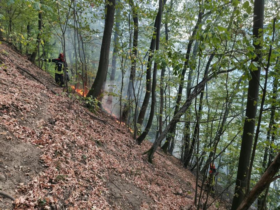 Incendiul din Domogled, lângă Băile Herculane, este greu de stins. Pompierii au aruncat într-o singură zi 200.000 de litri de apă 1106912