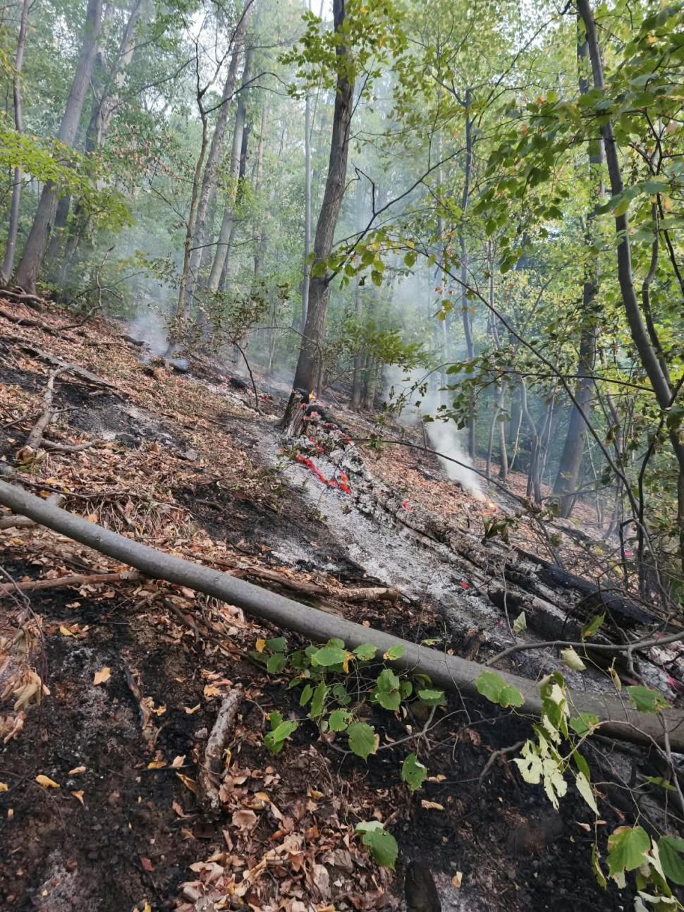 Incendiul din Domogled, lângă Băile Herculane, este greu de stins. Pompierii au aruncat într-o singură zi 200.000 de litri de apă 1106913